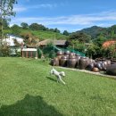 소리야네집 이미지