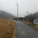 금천농원 이미지