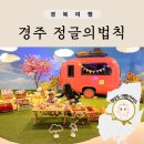 경주 정글의법칙 포토스튜디오 포토존 모음 ft.미디어파크 관람 후기