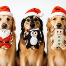 싼타세탁 이미지