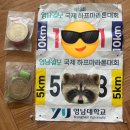 대구 영남일보 마라톤 참가후기-25.4.13