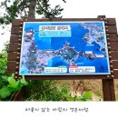 26년 7월 30일 제968차 빛고을새즈믄산악회 정기산행안내 신지명사갯길트래킹&amp;하계단합대회 이미지