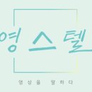 스텔(stell)