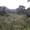 정곡리마을회관 이미지