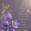 잠시 쉼표가 주는 여유 ♡ 이미지