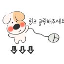아움헤어 이미지
