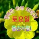 토요일 이미지