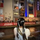 리엔(Lien)호텔 | 일본 헤어어레인지 뜻 예약방법 핫페퍼뷰티 오사카 헤어어레인지 후기