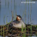 살고싶은집 삼마요양원 이미지