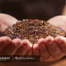 모토케이 - 전주시 완산구 효자로 92 | 모토케이