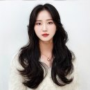 3919 | 두피힐링감각 만족스러운 엘포엘헤어 대전둔산점
