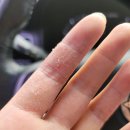 11일 ~ 17일 습진자가치료/요리똥손/공기정화식물키우기/소방설비기사전기실기/제주마음샌드/대학로연극/
