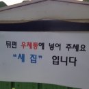 앙크 이미지