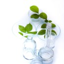 올가휴 이미지