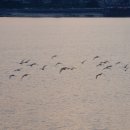 김포평화누리길 1코스 이미지