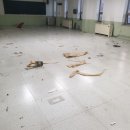 세원종합공사