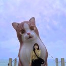 [강릉여행] 뚜벅이 당일치기 강릉여행 코스 추천