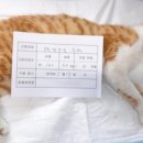 화성동물병원 - 성주군 시장길 6 | 화성동물병원