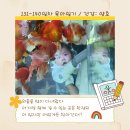 GR(담양군)-[담순로]-하-8 | 육아일기 131일-140일차 : 뒤집어서 자니까 불안한 엄마아빠(광주좌식카페, 수조관카페, 배밀이 시작...