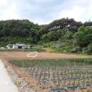 개운리농장 이미지