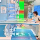 ㈜새성진 마포지점 | 올리브영 홍대타운 토리든 가나디 콜라보 팝업, 한정 굿즈 받는 재미까지