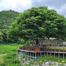 솔뫼골식당 이미지