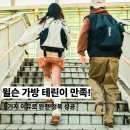 윌슨 테니스 가방 2025 완전 정복 | 테린이도 만족한 이유 5가지