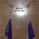 플럼라인