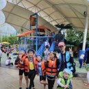 웅진태권도장 이미지