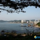 구로본갈매기 이미지