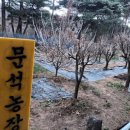 문석농장 이미지