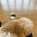 한라정형외과의원 이미지