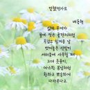 해피데이 이미지