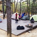 별빛야영장 이미지