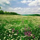 가영발전소 이미지