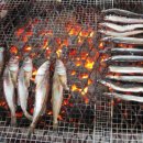 바다보기 이미지