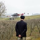 정운필행정사무소 | 서산 당일치기 여행 놀거리 해미읍성 입장료부터 국궁장 체험까지