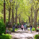 퇴계로(동) 이미지