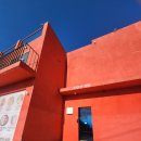 대부식당 | [대부도] 조만간 식당 대부본점 내돈내산 후기