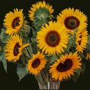 건설행정사 이미지