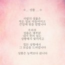 넌나의봄이다 이미지