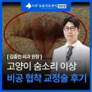 고양이 숨소리가 이상하다면? 비공 협착 교정 수술 후기
