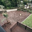 송이마당1198 이미지