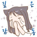 네오클립