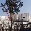 동남스타공인중개사사무소 이미지