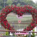 테라행정사사무소 이미지