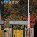 슬로우 인 풀빌라 이미지