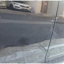 덴트닥터 이미지