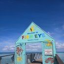 마린수중 | ​괌 신혼여행 3일차 자유여행 피쉬아이 수중전망대 방문 후기