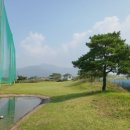 피닉스 골프 클럽 이미지